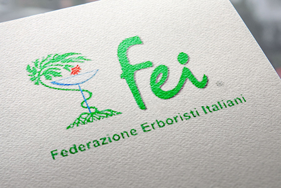 Foto logo FEI